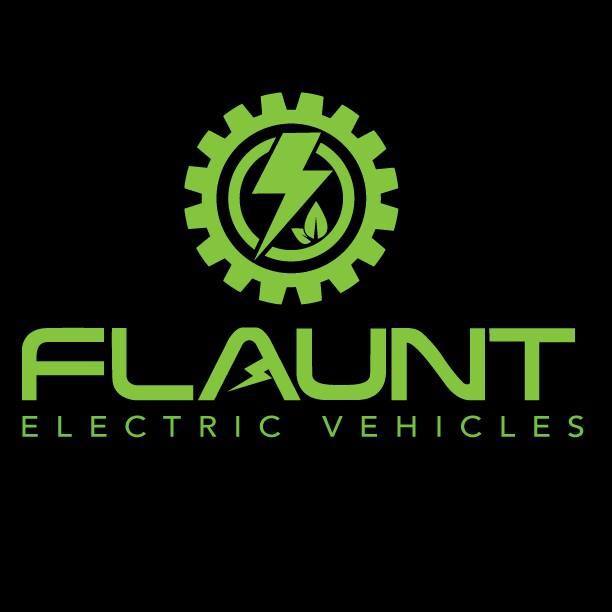 Flaunt Electric Bicycles