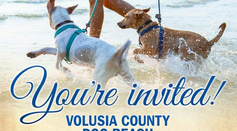Volusia County Dog Beach Ribbon Cutting
